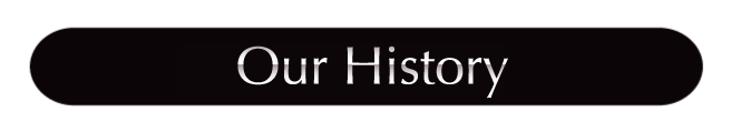 Company history