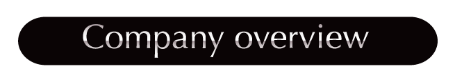 Company overview